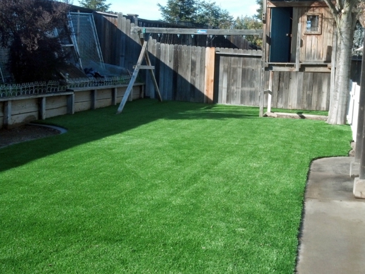 Artificial Lawn Vernon, California Rooftop, Backyard