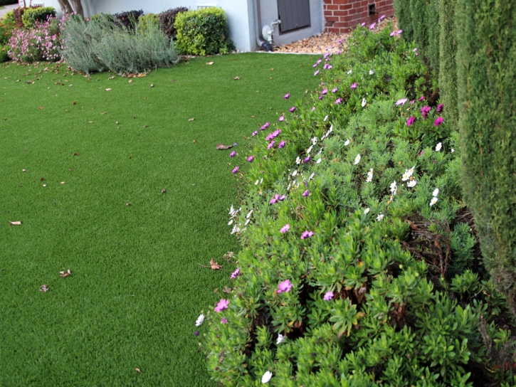 Artificial Lawn Westmont, California Landscape Ideas, Front Yard Landscape Ideas