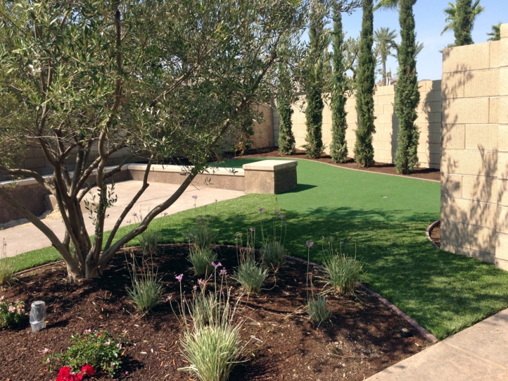 Artificial Turf Alhambra, California Garden Ideas, Small Backyard Ideas