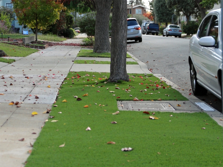 Artificial Turf Ballard, California Landscape Design, Front Yard Design