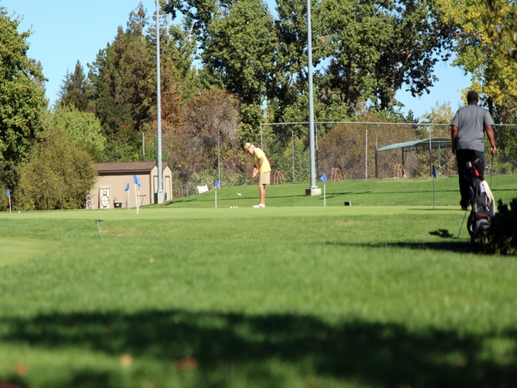 Artificial Turf Commerce, California Best Indoor Putting Green, Commercial Landscape