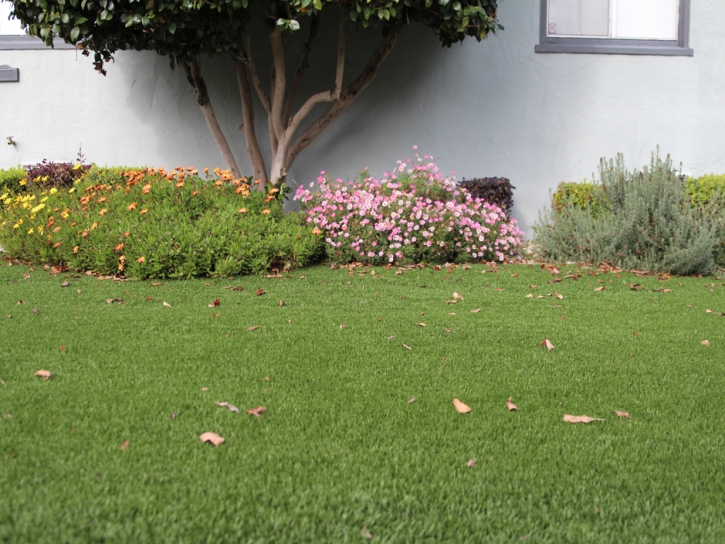 Artificial Turf Cost Avocado Heights, California Roof Top, Front Yard Landscaping Ideas