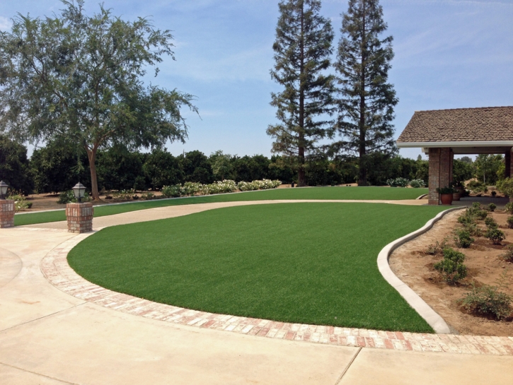 Artificial Turf Cost Hollywood, California Lawns, Front Yard Landscaping