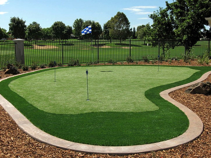 Artificial Turf Cost Los Olivos, California Indoor Putting Green, Backyard Designs