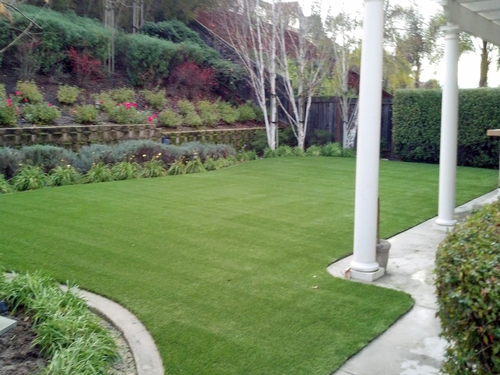 Artificial Turf Cost Lost Hills, California Dog Pound, Backyard Landscaping Ideas