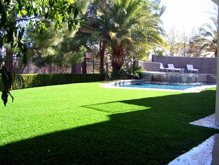 Artificial Turf Cost North Edwards, California Landscape Rock, Backyard Landscaping Ideas