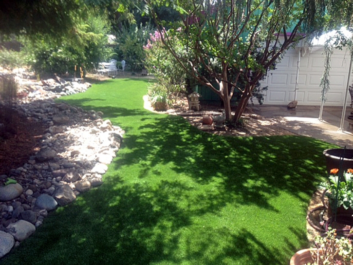 Artificial Turf Cost San Dimas, California Lawn And Garden, Backyard Design