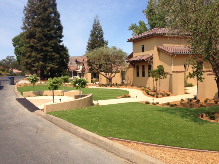 Artificial Turf Cost Vandenberg Village, California City Landscape, Front Yard Landscaping Ideas