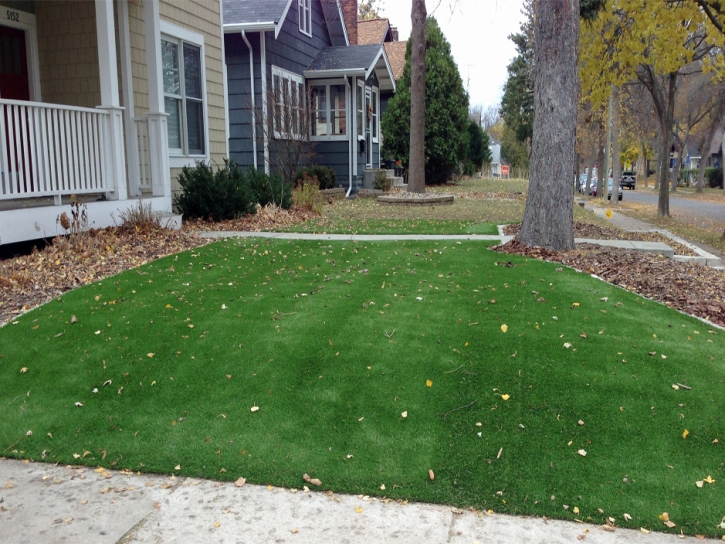 Artificial Turf Industry, California City Landscape, Front Yard Landscaping Ideas