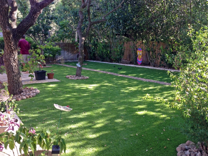 Artificial Turf Installation Oak Park, California Landscape Photos, Backyard Makeover