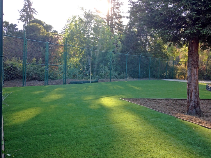 Artificial Turf Installation Orcutt, California Landscape Ideas, Recreational Areas