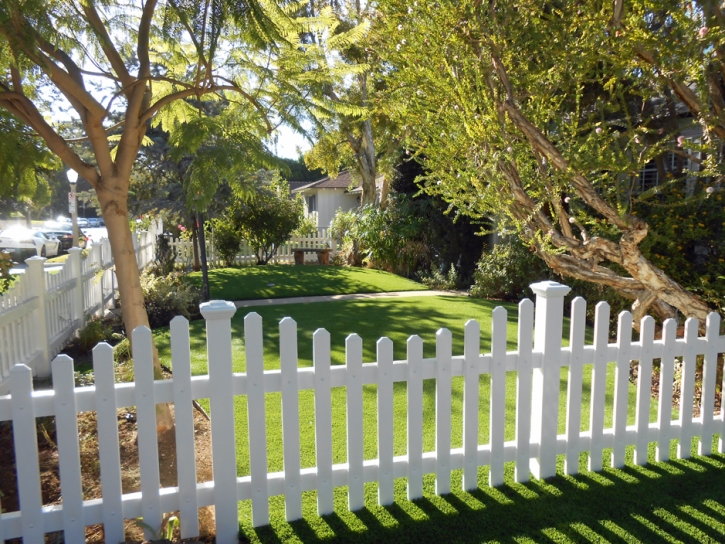 Artificial Turf Malibu Beach, California Roof Top, Front Yard Landscape Ideas