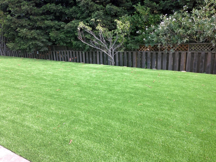 Artificial Turf Norwalk, California Landscaping, Backyard Ideas