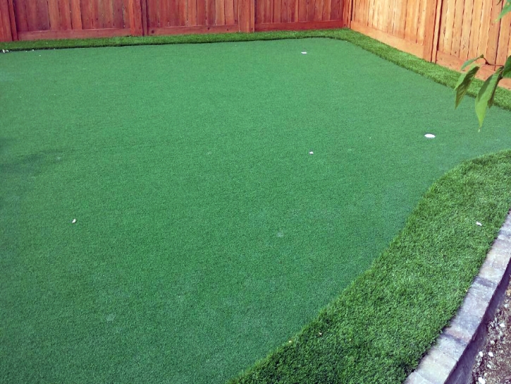 Artificial Turf Oak Park, California Indoor Putting Greens, Backyard Designs