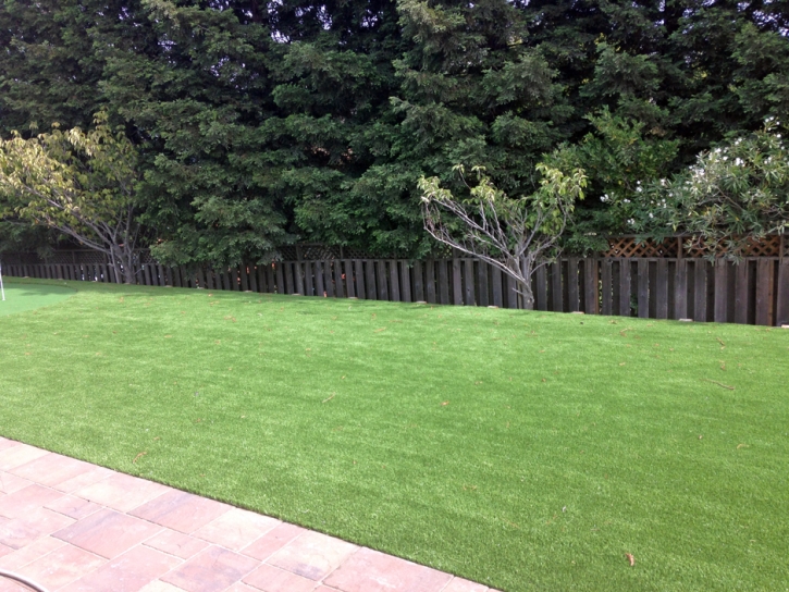 Artificial Turf Rosemead, California Design Ideas, Backyard Landscaping