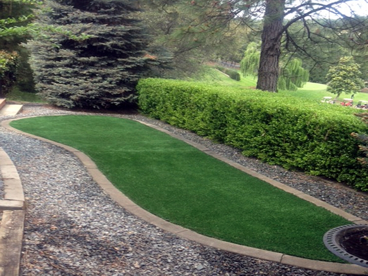 Artificial Turf San Antonio Heights, California Lawns