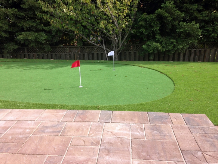 Artificial Turf Temple City, California Indoor Putting Greens, Backyard Landscaping Ideas