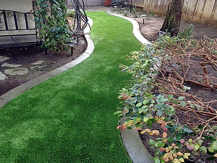 Artificial Turf Temple City, California Landscape Photos, Backyard Ideas