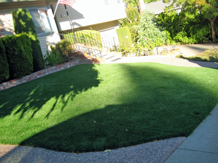 Artificial Turf West Puente Valley, California Backyard Deck Ideas, Front Yard Landscape Ideas