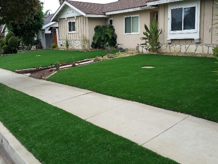 Artificial Turf Willowbrook, California Rooftop, Front Yard Ideas