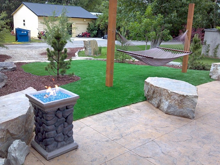 Best Artificial Grass Camarillo, California Design Ideas, Front Yard Ideas