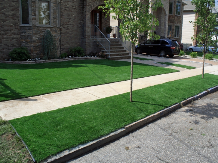 Best Artificial Grass Garden Grove, California Home And Garden, Front Yard Ideas