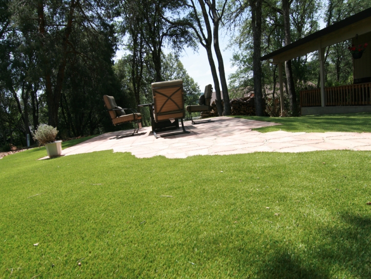 Best Artificial Grass Greenacres, California Rooftop, Backyard Landscape Ideas