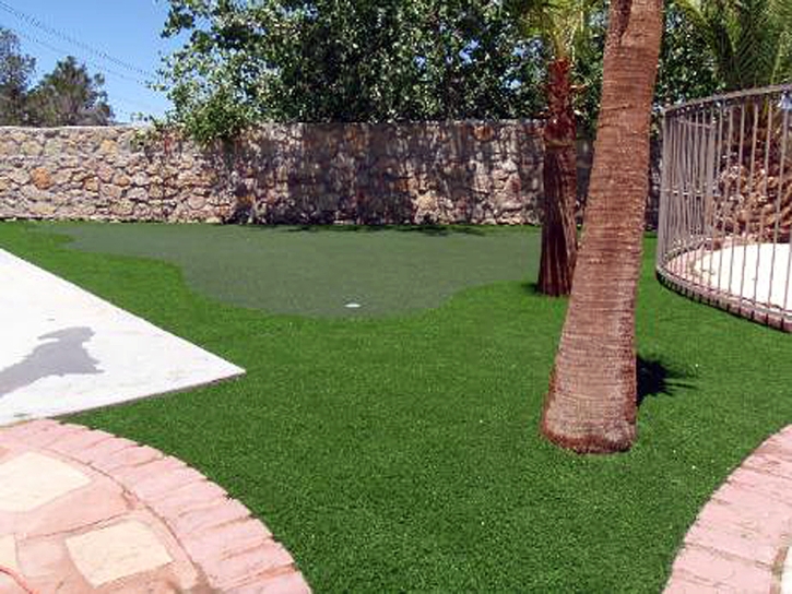 Best Artificial Grass Taft Heights, California Putting Green, Small Backyard Ideas