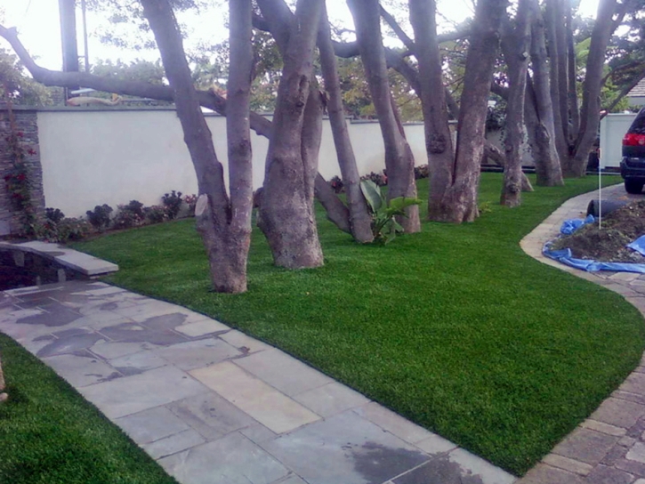 Best Artificial Grass West Athens, California City Landscape, Front Yard