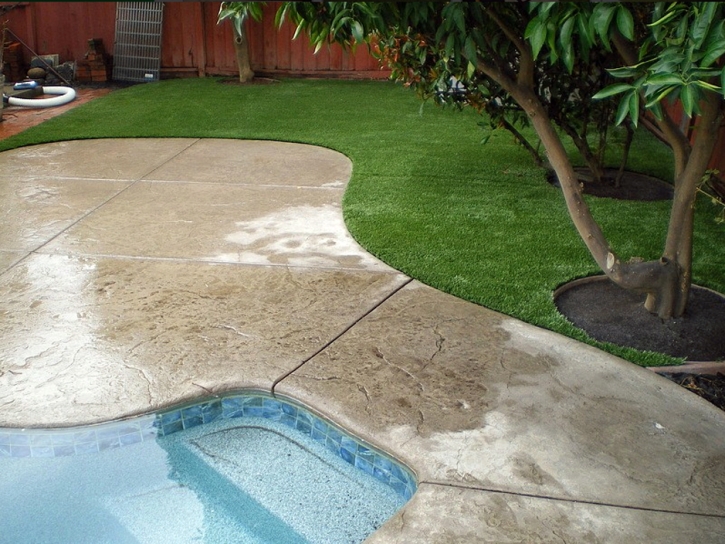 Best Artificial Grass Willowbrook, California Landscape Design, Backyard Landscape Ideas