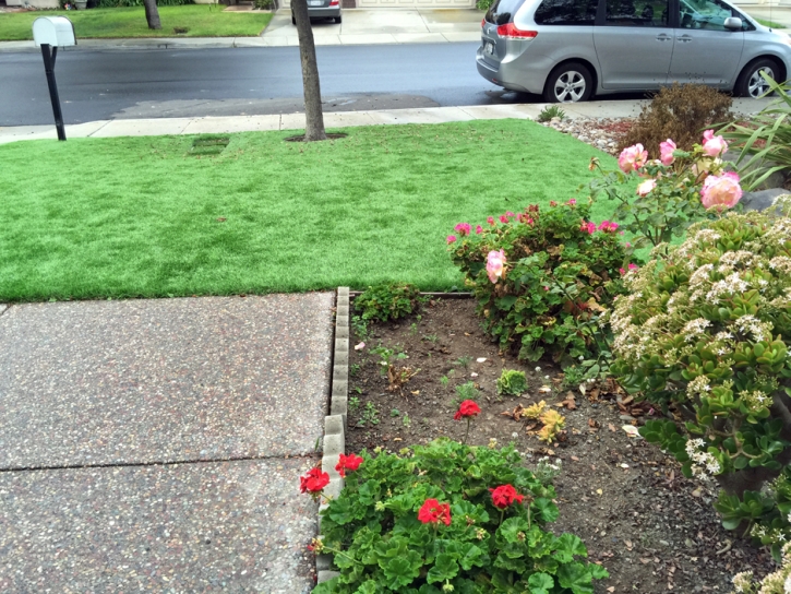 Fake Grass Beverly Hills, California Hotel For Dogs, Front Yard Landscape Ideas