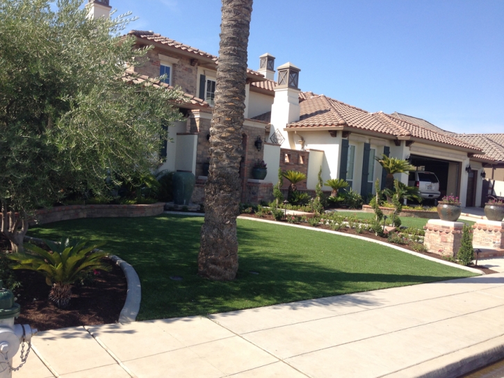 Fake Grass Carpet Bakersfield, California Landscape Design, Front Yard Landscape Ideas