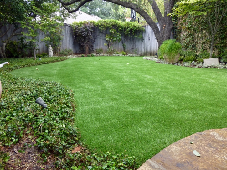 Fake Grass Carpet Casmalia, California Lawns, Backyards