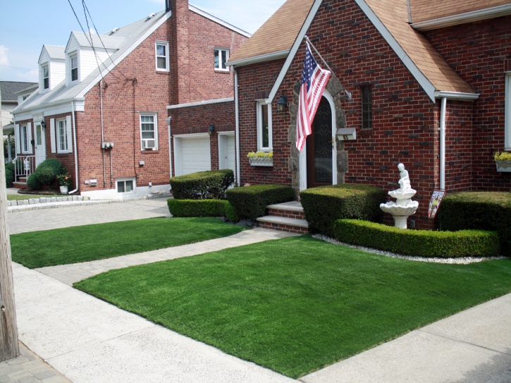 Fake Grass Carpet Citrus, California Roof Top, Front Yard