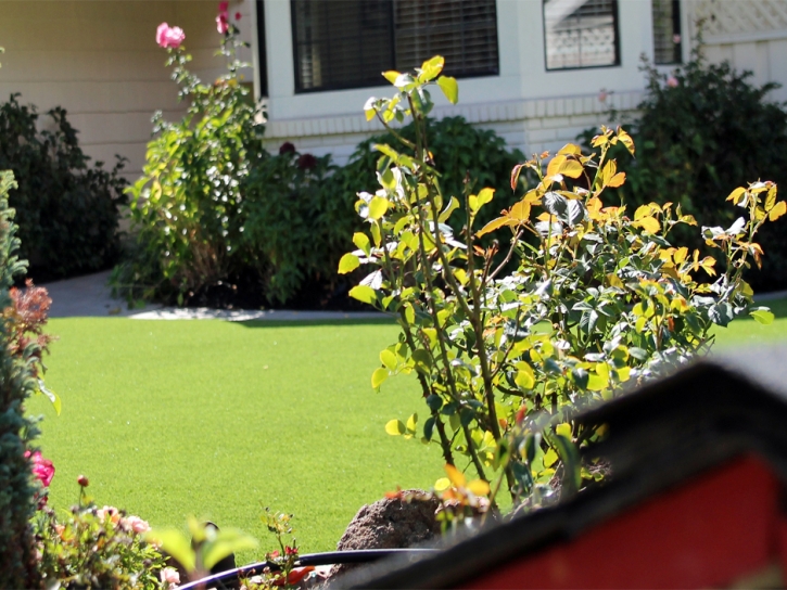 Fake Grass Carpet Derby Acres, California Landscape Photos, Front Yard