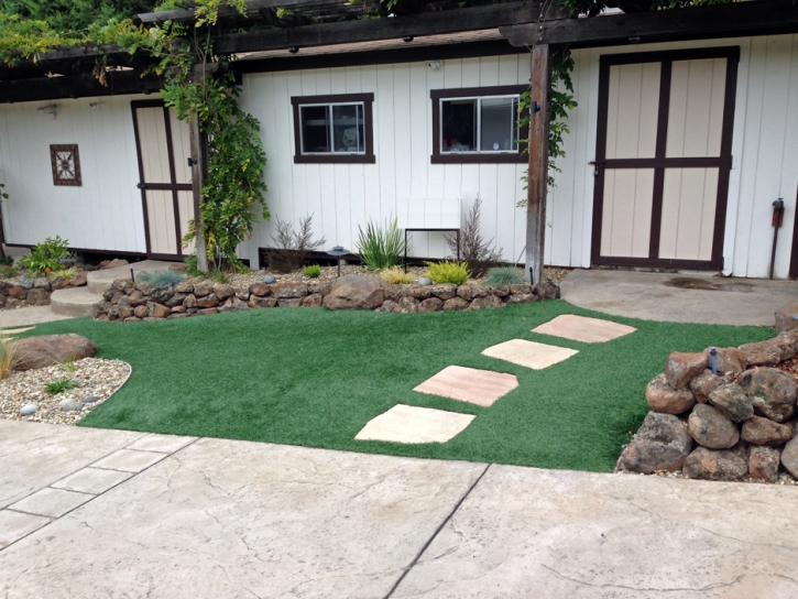 Fake Grass Carpet Fuller Acres, California Garden Ideas, Small Front Yard Landscaping