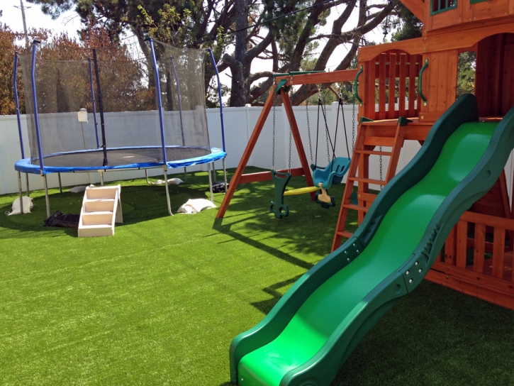 Fake Grass Carpet Hermosa Beach, California Landscape Ideas, Backyard Garden Ideas