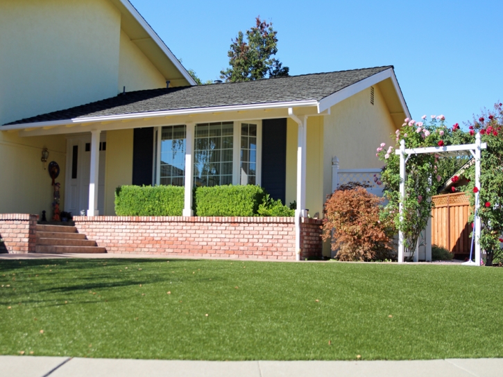 Fake Grass Carpet North El Monte, California Backyard Deck Ideas, Landscaping Ideas For Front Yard