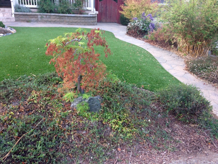 Fake Grass Carpet Oceano, California Backyard Playground, Front Yard Landscaping Ideas