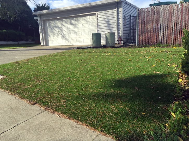 Fake Grass Carpet Pico Rivera, California Landscape Ideas, Front Yard