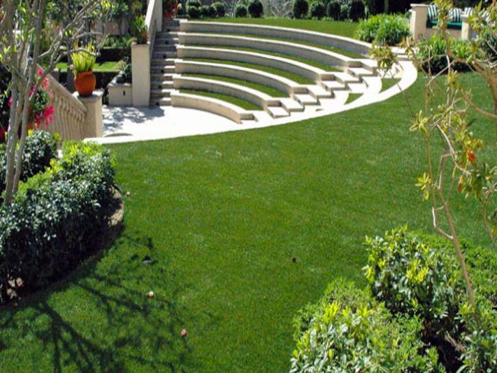 Fake Grass Carpet Pismo Beach, California Gardeners