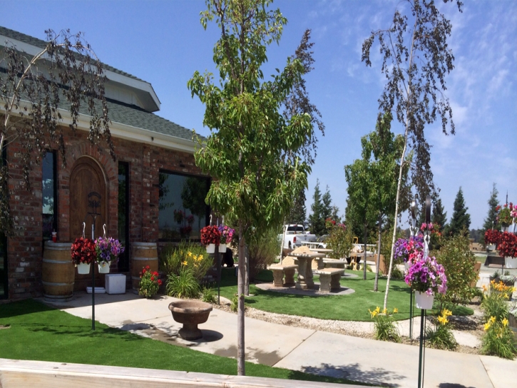 Fake Grass Carpet Redondo Beach, California Landscape Rock, Commercial Landscape