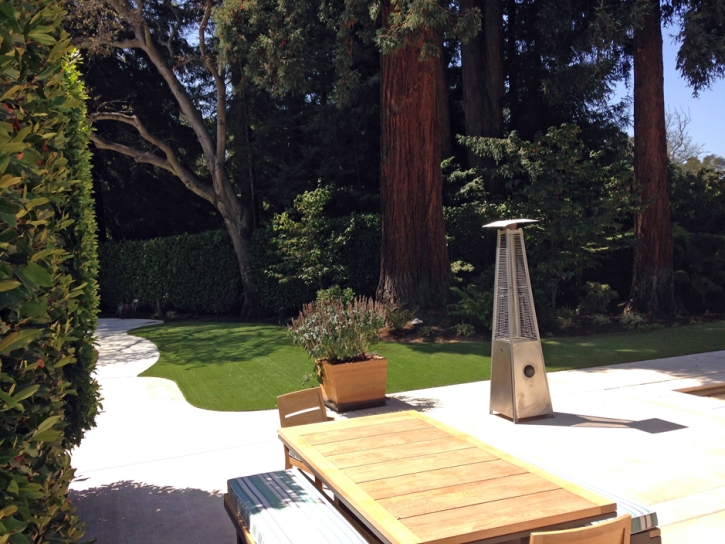 Fake Grass Carpet Rosedale, California Landscape Design, Backyard Garden Ideas