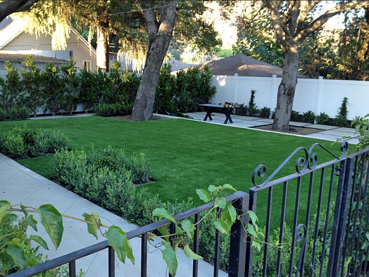 Fake Grass Hermosa Beach, California Backyard Playground, Front Yard Ideas