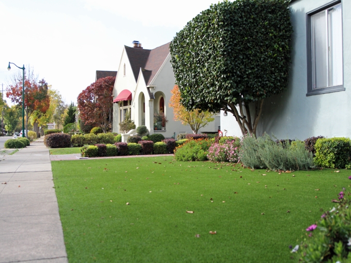 Fake Grass Inglewood, California Lawns, Small Front Yard Landscaping