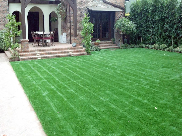 Fake Grass Keene, California Lawn And Landscape, Small Front Yard Landscaping