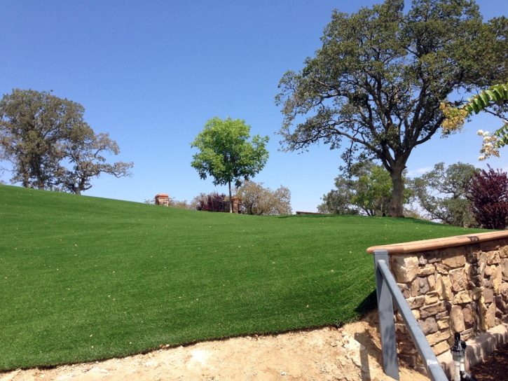 Fake Grass Lakewood, California Landscaping Business, Front Yard Ideas