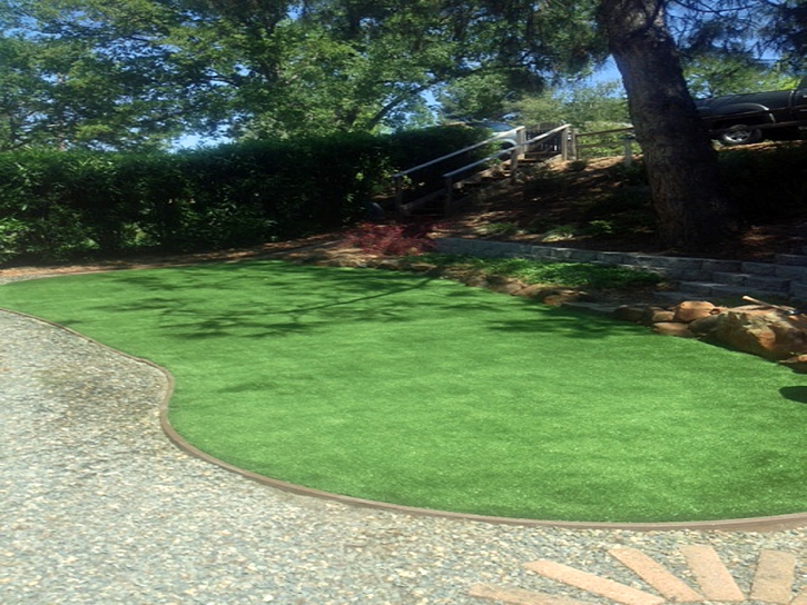 Fake Grass Montclair, California Design Ideas, Backyard Design