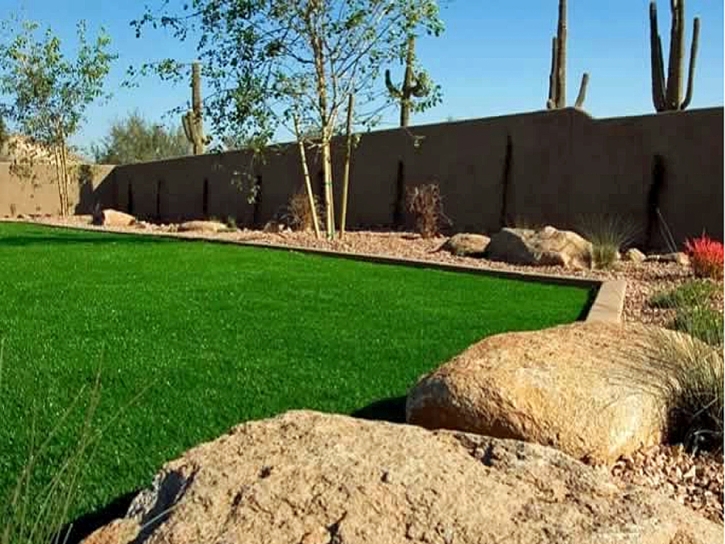 Fake Grass Montebello, California Landscape Ideas, Backyard