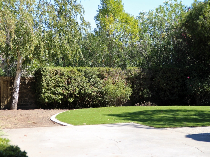 Fake Lawn Compton, California Gardeners, Backyard Designs